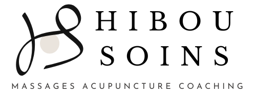 Hibou Soins Thibault Vizcaïno